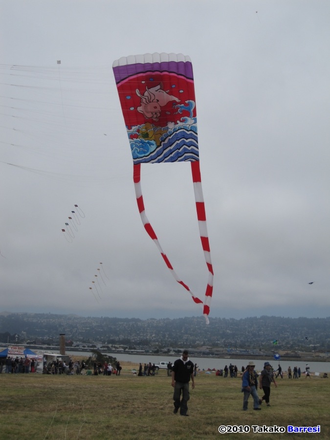 Issue 74 Berkeley Kite Festival KiteLife®