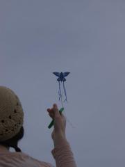 My Fiance and her new Kite