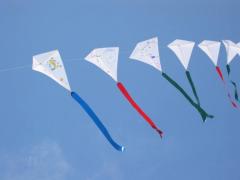 Kid decorated kites