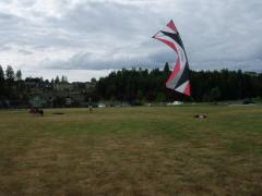 Rev Flown in Puyallup Washington