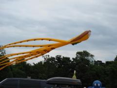 Brighton Kite Fest