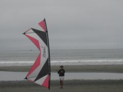 Coast Crescent City 8-2 & 3-2008 Kites 005.jpg