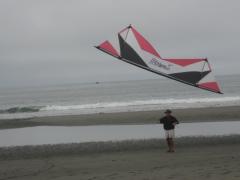 Coast Crescent City 8-2 & 3-2008 Kites 006.jpg