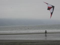 Coast Crescent City 8-2 & 3-2008 Kites 018.jpg