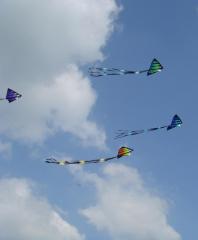Uk Bristol Kite Festival 2008