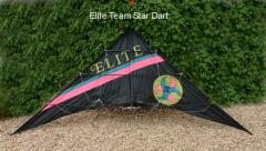 Elite Team Star Dart