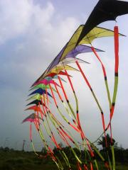 15 Stacks Stunt Kites with Tails