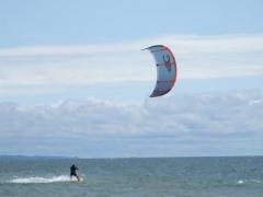 Pere Marquette State Park - Muskegon, MI