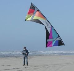 Another view of kite in air