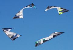 Lincoln City Kite festival