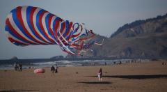 Lincoln City Kite festival