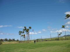 Rev II kite fun, Paia Maui.jpg