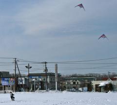 Feb.06.2011MK 2 kites flight by Honma.jpg