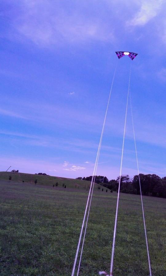 Rev B2 Vented Prize First Flight