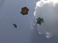 single line kites