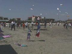 Kids kites