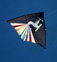 Tap Kite 10 Ft