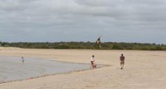 2 Little girl, small dog and a kite