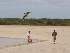 Little girl, small dog and a kite