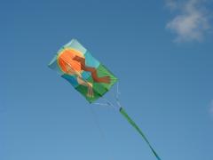 mielow kites