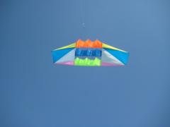 Vibrant Kite Flyers Club Ahmedabad