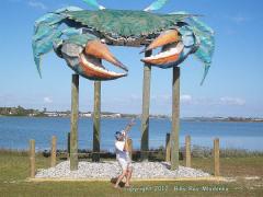 Crabs in the air -- but not a kite....