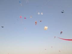 Somnath Kite Festival