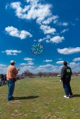 Blossom Kite Festival