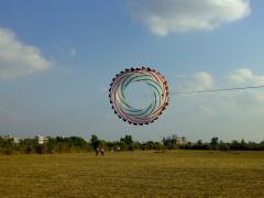 ring kite