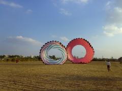 ring kite