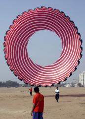 ring kite