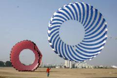 ring kite