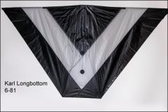 Karl Longbottom 6-81 indoor kite