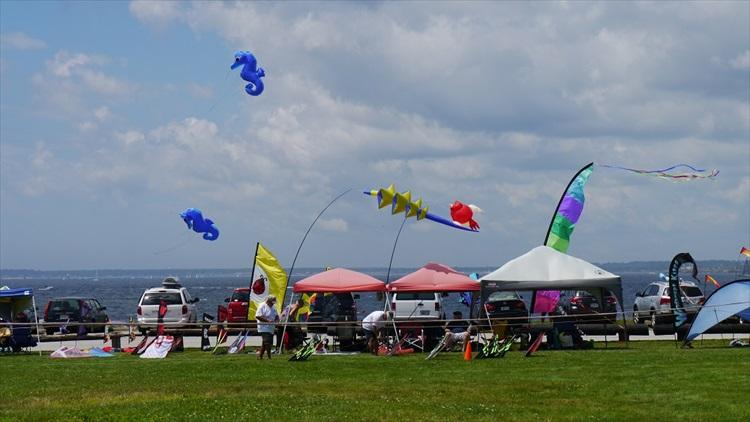 Newport Kite Festival 2013