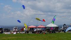 Newport Kite Festival 2013