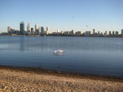 Swan River outing 3