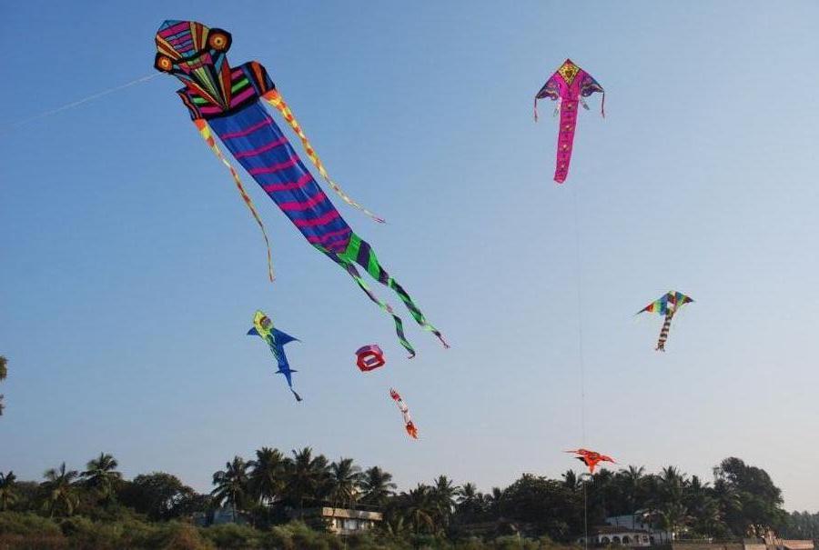 Ashok Designer Kites