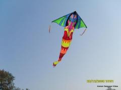 Delta kite