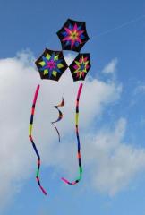 black star kite