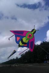 Bee kite