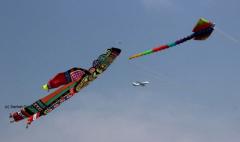 Pune Kite Festival 2014