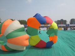 Royal Kite Flyers Club india at Pune Kite Festival