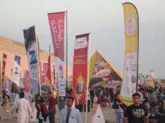 Dubai International Kite Festival 2014