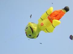 International Kite Festival 2014