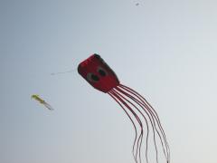 International Kite Festival 2014