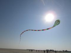 Kutch White Runn - International Kite Festival 2014 - Royal Kite Flyers Club