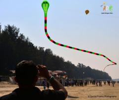 Two line 3d inflattable snake kite Adk ashok designer kites