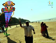 Adk bird Man kite ashok Des
