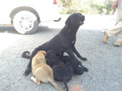 Cuties at a roadside stop...