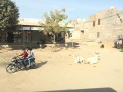 Jodhpur streets